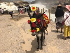 -陕西黄河壶口瀑布旅游区