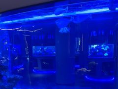 -上和臻品中国菜(花园街店)