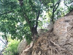 -北京鹫峰国家森林公园