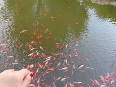 -太白山御龙湾温泉