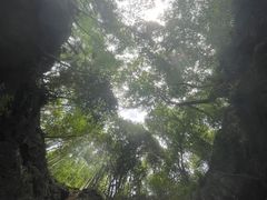 -龙宫洞风景区