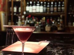 餐具摆设-DM Distiller & Mixologist Whisky Cocktail Bar