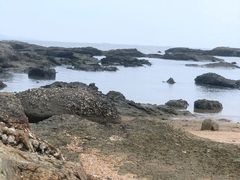 -碧桂园十里银滩