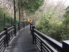 -白马涧龙池景区