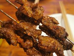 -福苗小骆驼烧烤(莲湖路店)