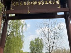 -池杉湖湿地公园