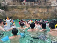 -杭州开元森泊度假乐园