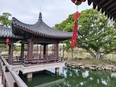 -江心屿景区