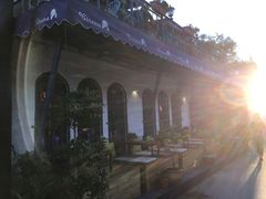 -Tubestation站点比萨(五道营店)