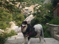 -碓臼峪自然风景区