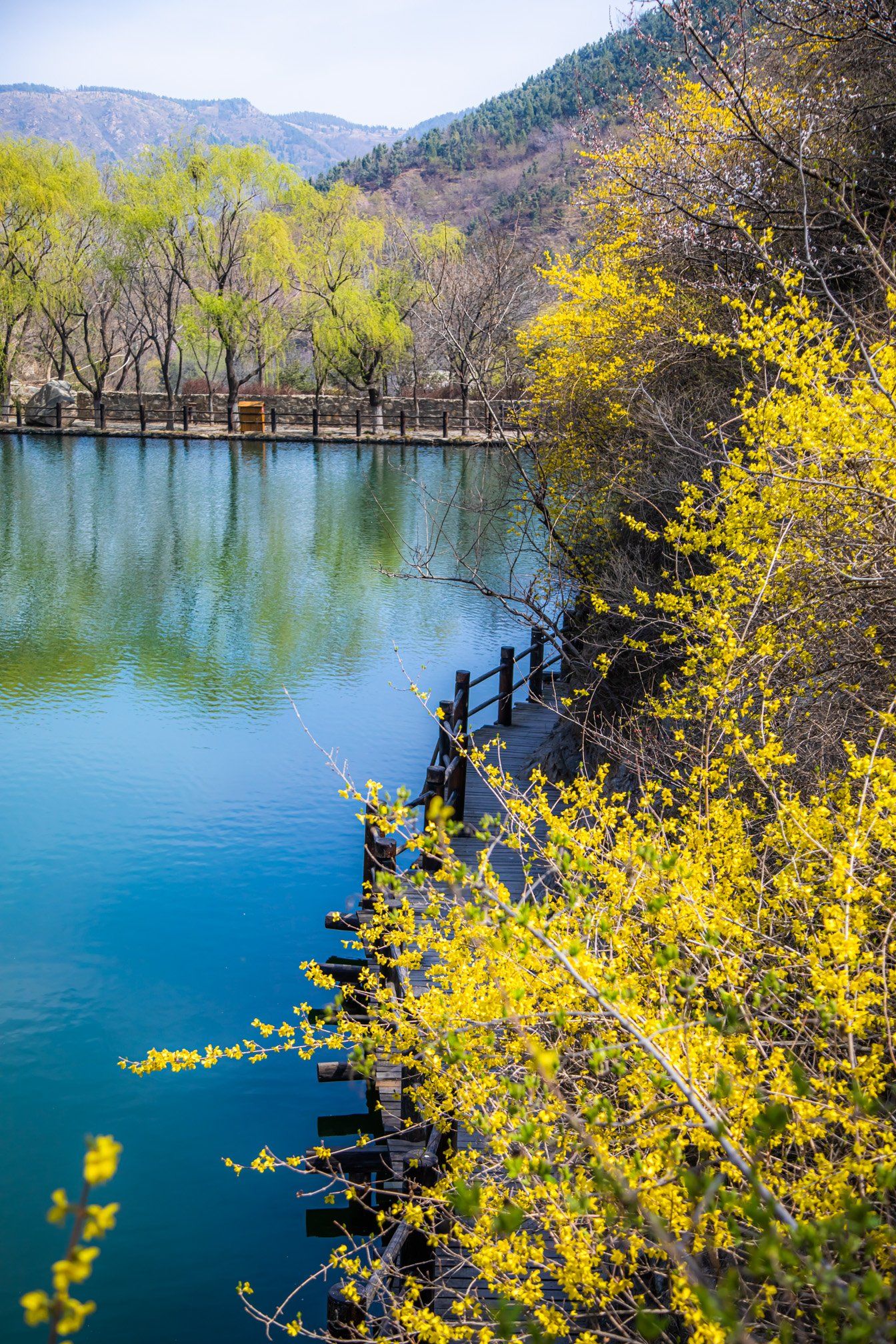 风景区」

👉去九如山艺文小镇
1⃣