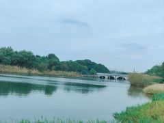 -渤公岛生态公园