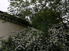 -尚贤河湿地