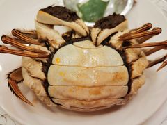 阳澄湖大闸蟹-三元宾馆-中餐厅