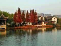 -尚贤河湿地