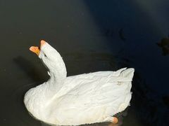 -济南野生动物世界
