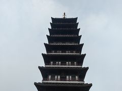 -宜兴龙背山森林公园