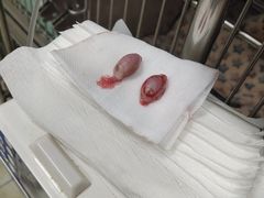 -贝利宠物医院·骨科·眼科·肿瘤转诊中心(南坪诊疗中心)