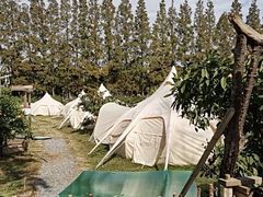 -前小桔亲子创意农场·草莓采摘·露营烧烤