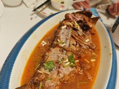 -阿五黄河大鲤鱼(海尚店)