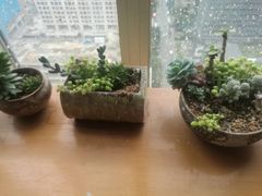 -木子陶艺(春熙路店)