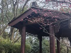 -杭州半山国家森林公园