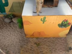 -无锡动物园·太湖欢乐园