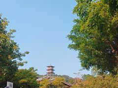 -中国沉香文化博物馆