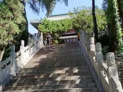-蓬莱阁景区