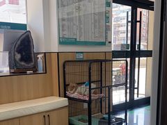 -瑞派长江宠物医院·猫科·外科·24小时夜护(谊城公寓分院)