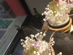 -刘一锅筋头巴脑(小北店)