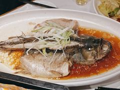 -刘胖子家常菜·蹄花焖藕(中南店)