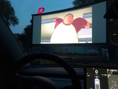 -枫花园汽车电影院(朝阳公园店)