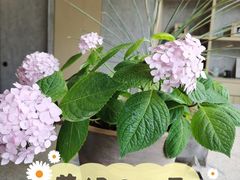 -山下C5cafe(惠通时代广场店)