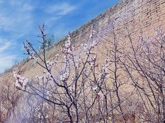 -蟠龙山长城景区