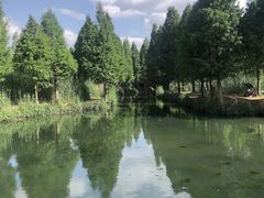 -捞渔河湿地公园