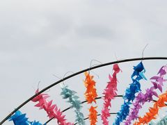 -瑶湖郊野森林公园