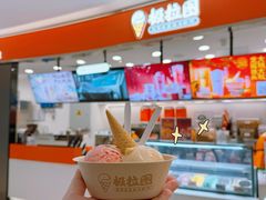 -极拉图·现制冰淇淋(大卫城店)