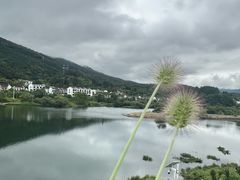 -黄牛肉馆·皖南土菜