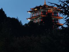 -草墩罗非鱼庄•野生菌•腊排骨(七星街上段店)