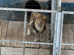 -大青山野生动物园
