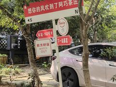 -阿巧茶庄