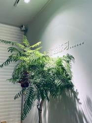 -闺蜜瑜伽·普拉提女性塑形馆