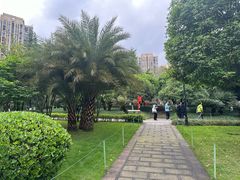 -龙头寺公园
