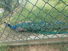 -宿豫区运河湾森林动物园