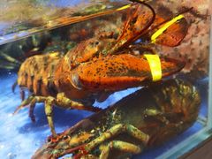 -79号渔船海鲜饭店(华强北店)