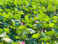 -云龙湖旅游景区