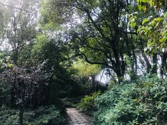 -新江湾城公园