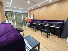 -珠江钢琴艺术中心(文一路店)