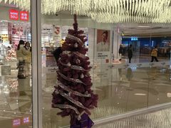 -GANSO元祖食品(西安含光路店)